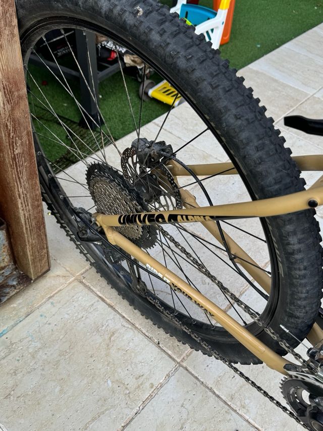 Bicicleta Todo Terreno