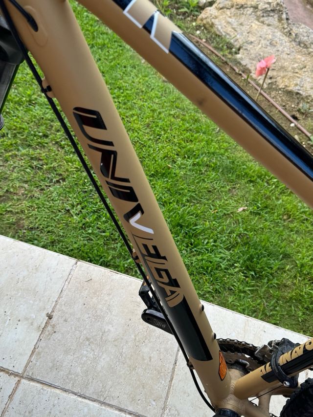 Bicicleta Todo Terreno