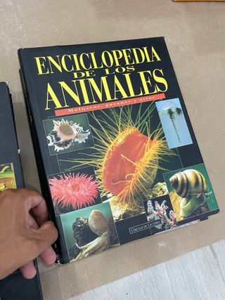 Coleccion enciclopedia de los animales