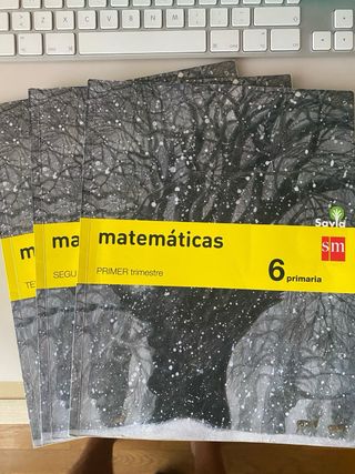 Matematicas 6 primaria, sm savia