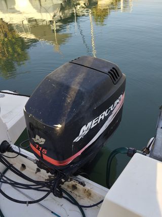 Motor mercury 4 tiempos efi 115cv fueraborda