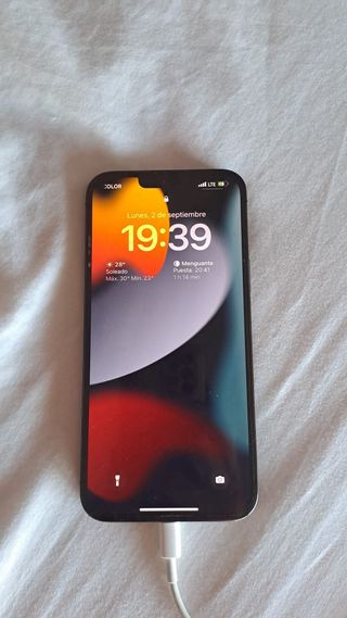 Iphone 13 Pro Max 256 GB