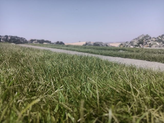 Cesped artificial reciclados 🌿