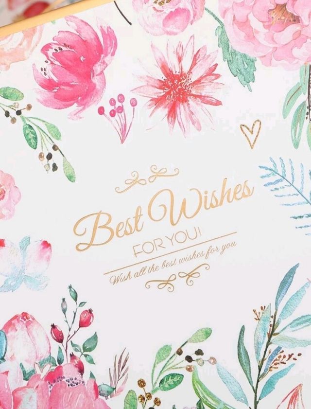 Lote de bolsas y cajas de regalo