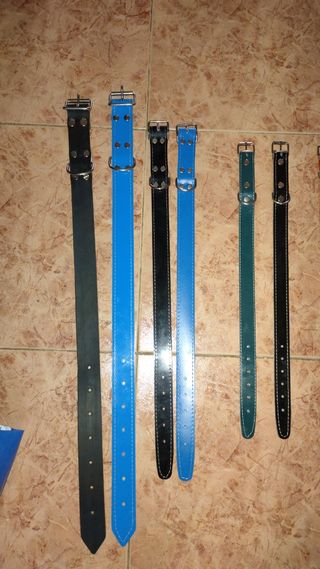 Collares de perro 