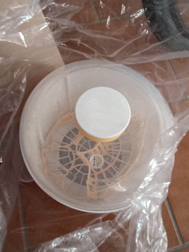 Esterilizador de biberones por vapor