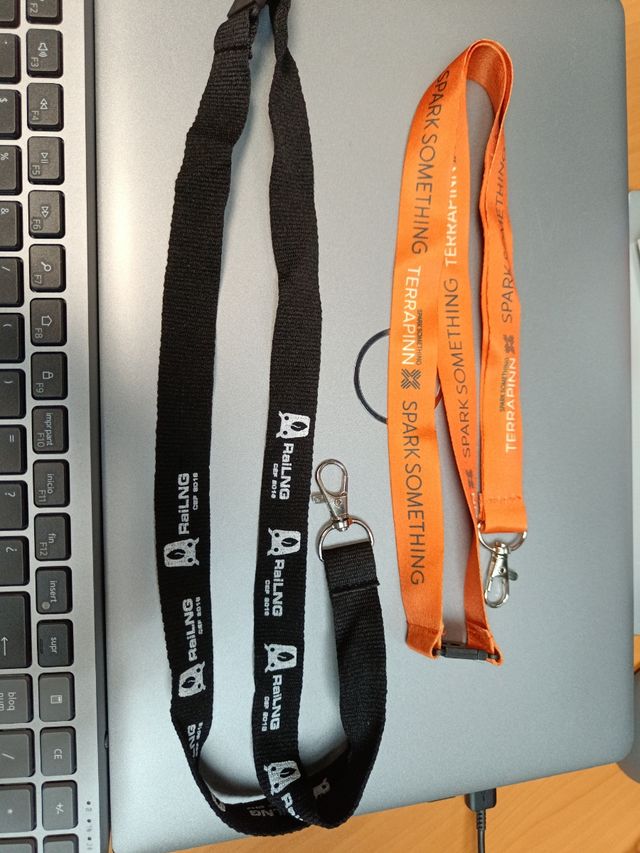 Progetti ferroviari Landyard