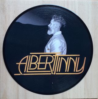 Vinile 33 giri da parete omaggio a Alberttinny