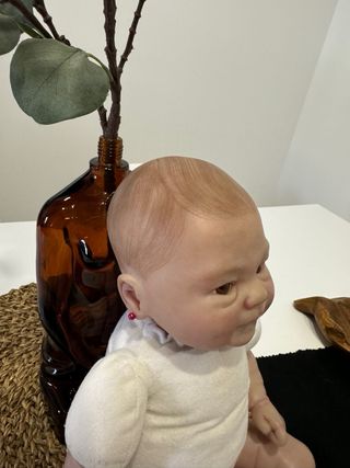 Muñeca Bebe reborn