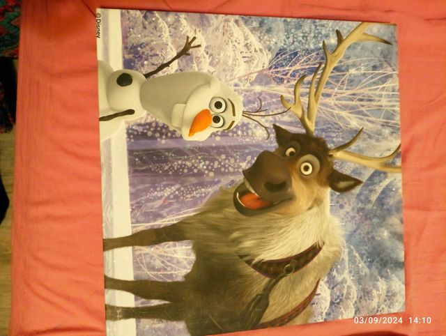 Frozen decoración pared