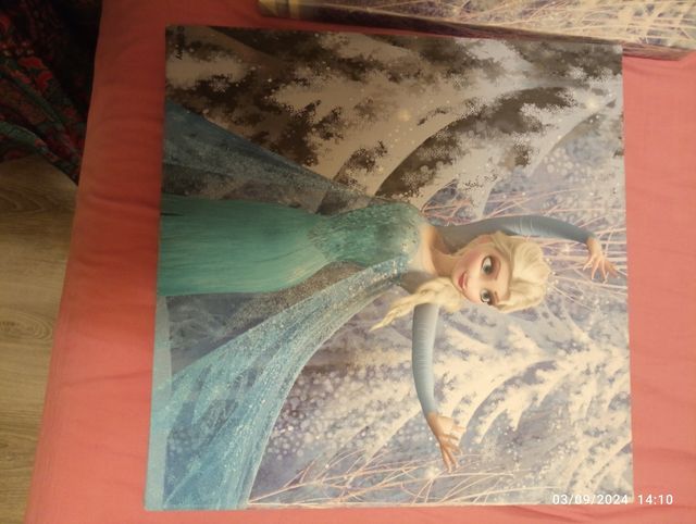 Frozen decoración pared