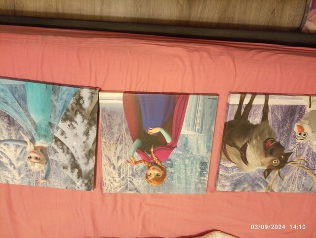 Frozen decoración pared