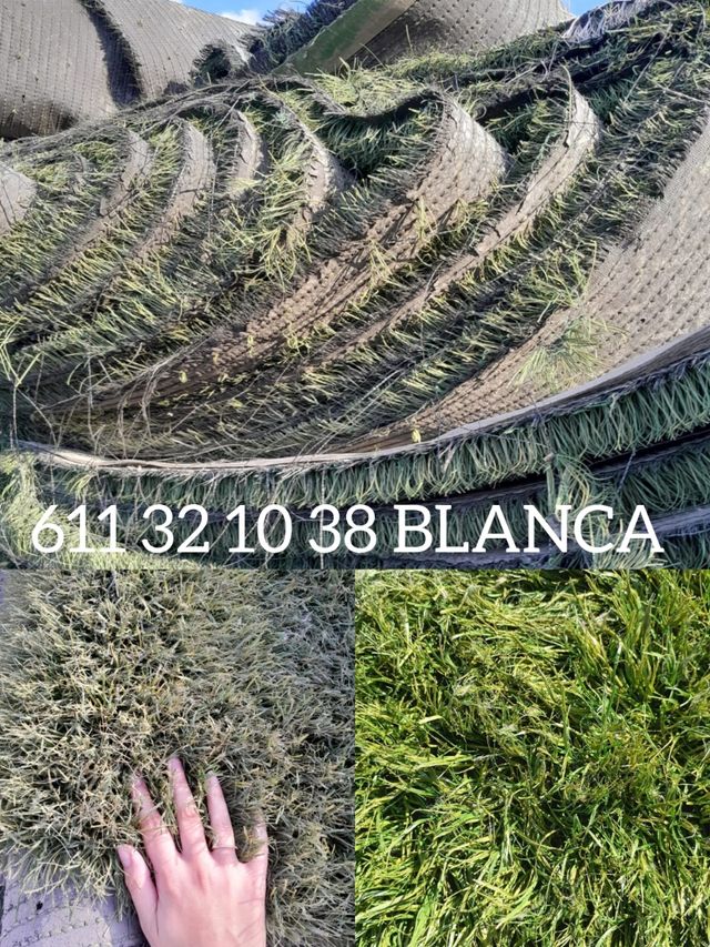 Resistente Césped Artificial Reciclado