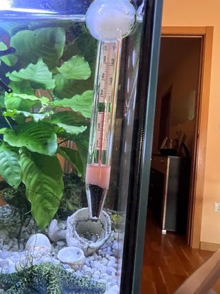 acuario completo con mueble