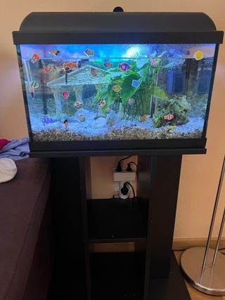 acuario completo con mueble
