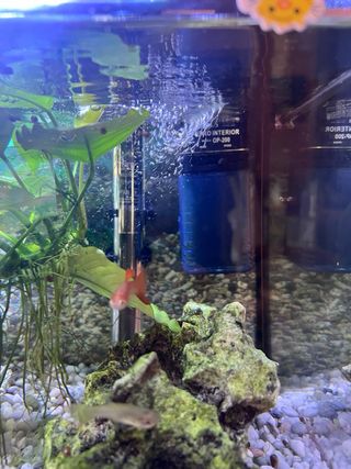 acuario completo con mueble