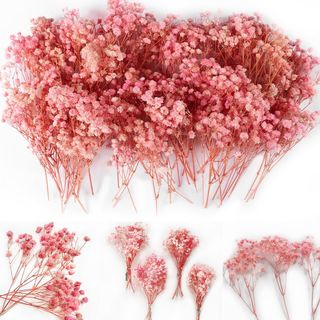 Oning 65 ramos de flores de gypsophila de color ro
