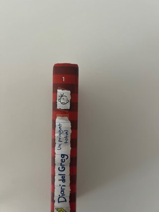 DIARI DEL GREG 1 - UN PRINGAT TOTAL