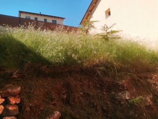 Jardinero económico 