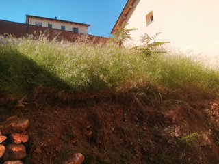 Jardinero económico