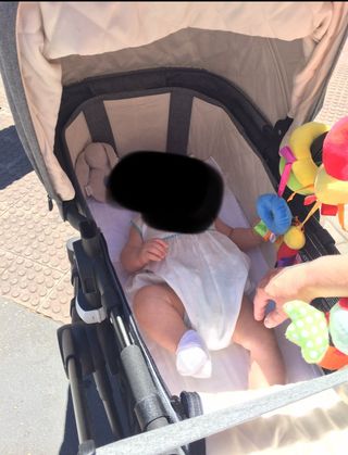 Carrito bugaboo buffalo completo en gris melange