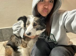 Cuidadora de perros