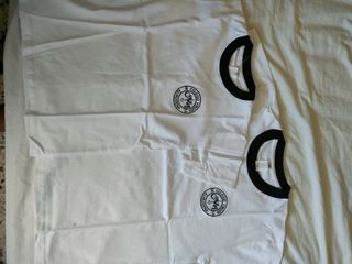 camiseta chandal virgen almudena 