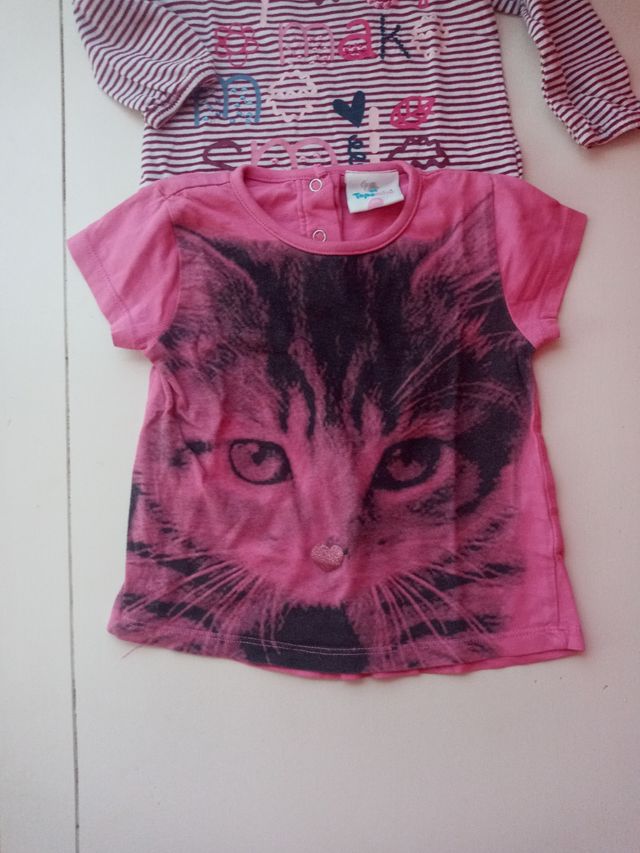 Lote 1 año y medio/ 2 años