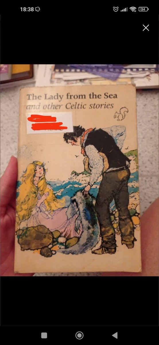 Libro the lady from the sea