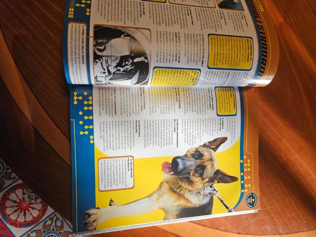 Libro guinnes dei primati 2003