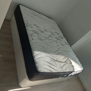 VENTA URGENTE: CANAPES ABATIBLES Y COLCHONES