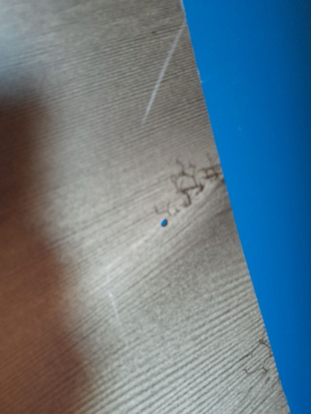 Foto mural Domingo Leiva