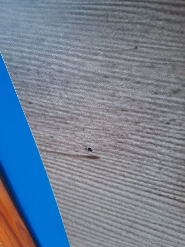 Foto mural Domingo Leiva