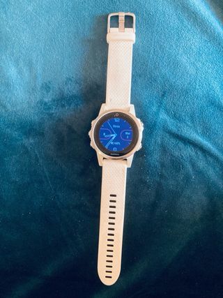 Garmin Fenix 5S