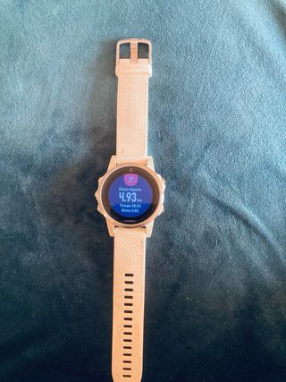 Garmin Fenix 5S