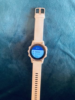 Garmin Fenix 5S
