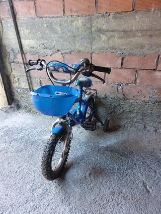 Bicicleta con ruedines