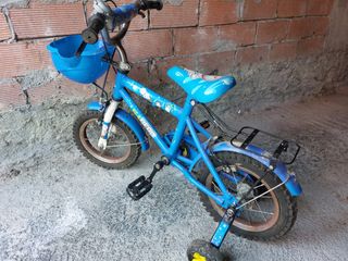 Bicicleta con ruedines