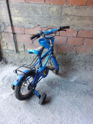 Bicicleta con ruedines