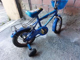 Bicicleta con ruedines