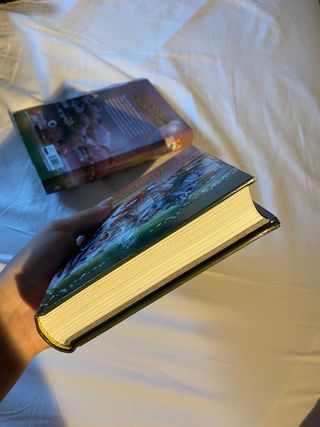 Libro “Las aventuras de Marco Polo” Geronimo S