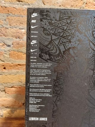 Bambas basket Nike LEBRON XIX