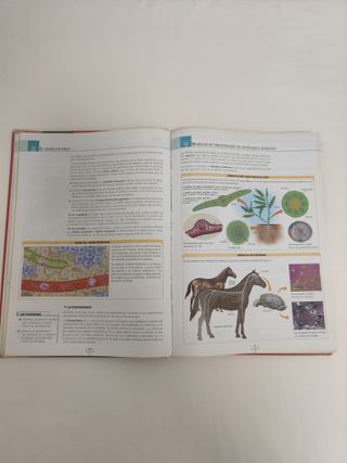 BIOLOGÍA Y GEOLOGÍA 1 BACHILLERATO SM