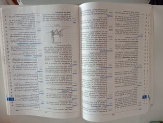 Diccionario lengua española primaria