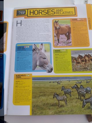 Animal encyclopedia