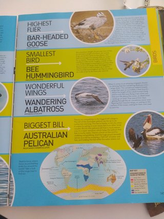 Animal encyclopedia