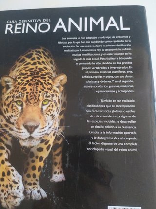 Reino ANIMAL