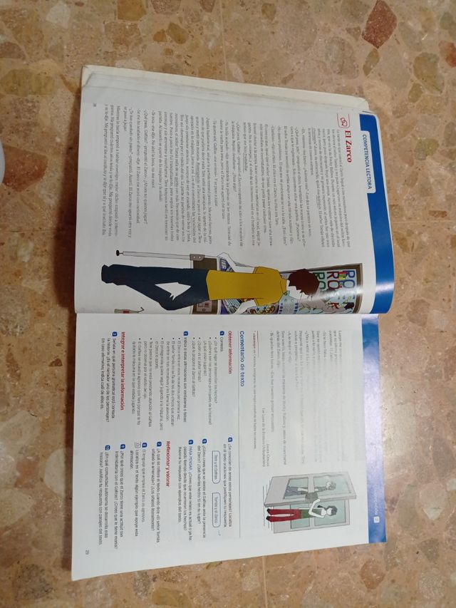 Lengua castellana y literatura