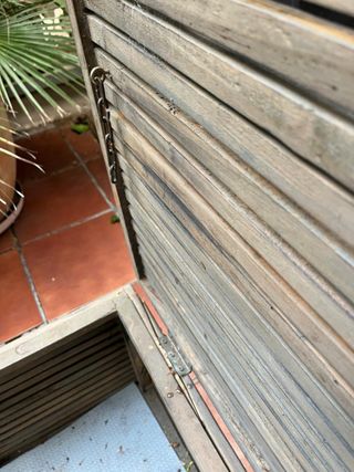 Baul teka de Vinçon