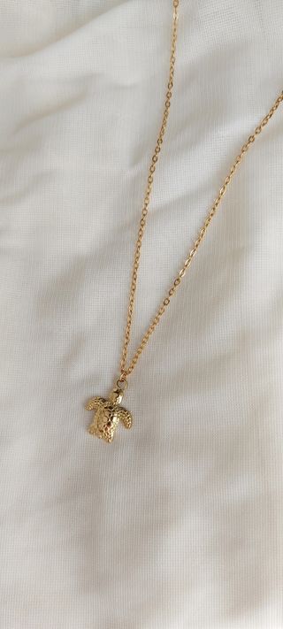 Collar tortuga acero